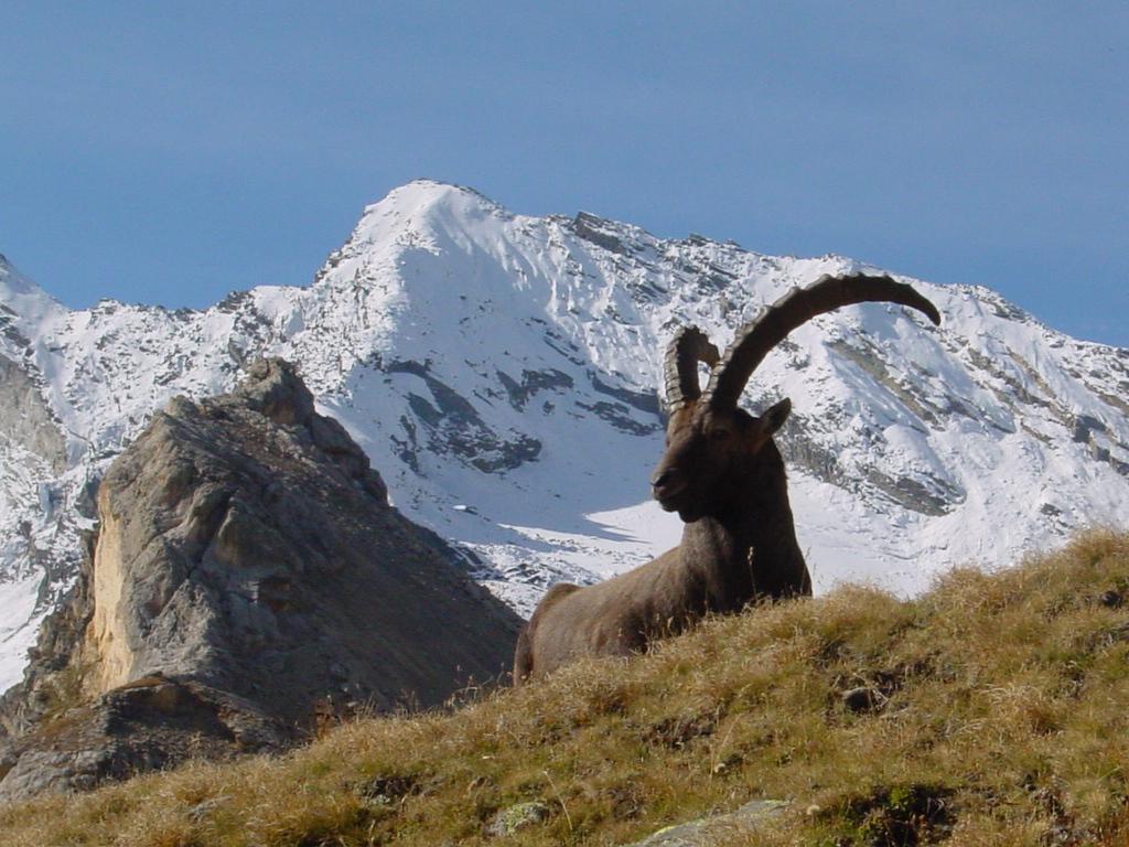 Hotel De La Vanoise Pralognan-la-Vanoise Exteriér fotografie